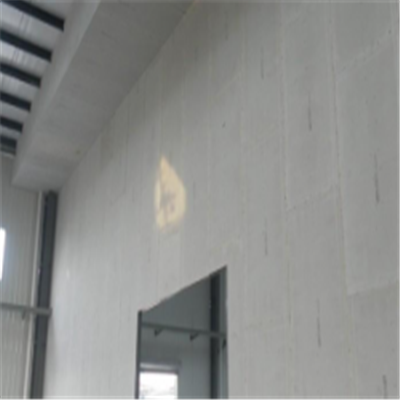 仙游新型建筑材料掺多种工业废渣的ALC|ACC|FPS模块板材轻质隔墙板